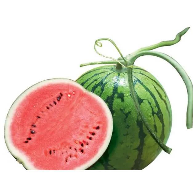 Ʒչʾһ