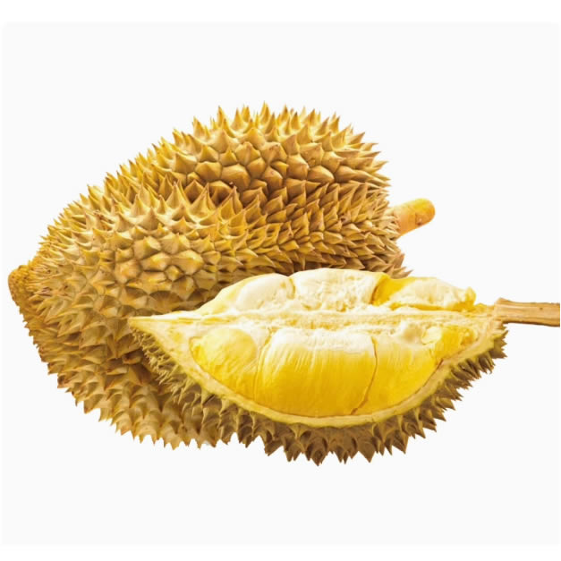 Ʒչʾ