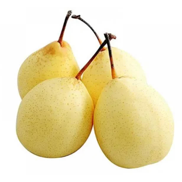 Ʒչʾ